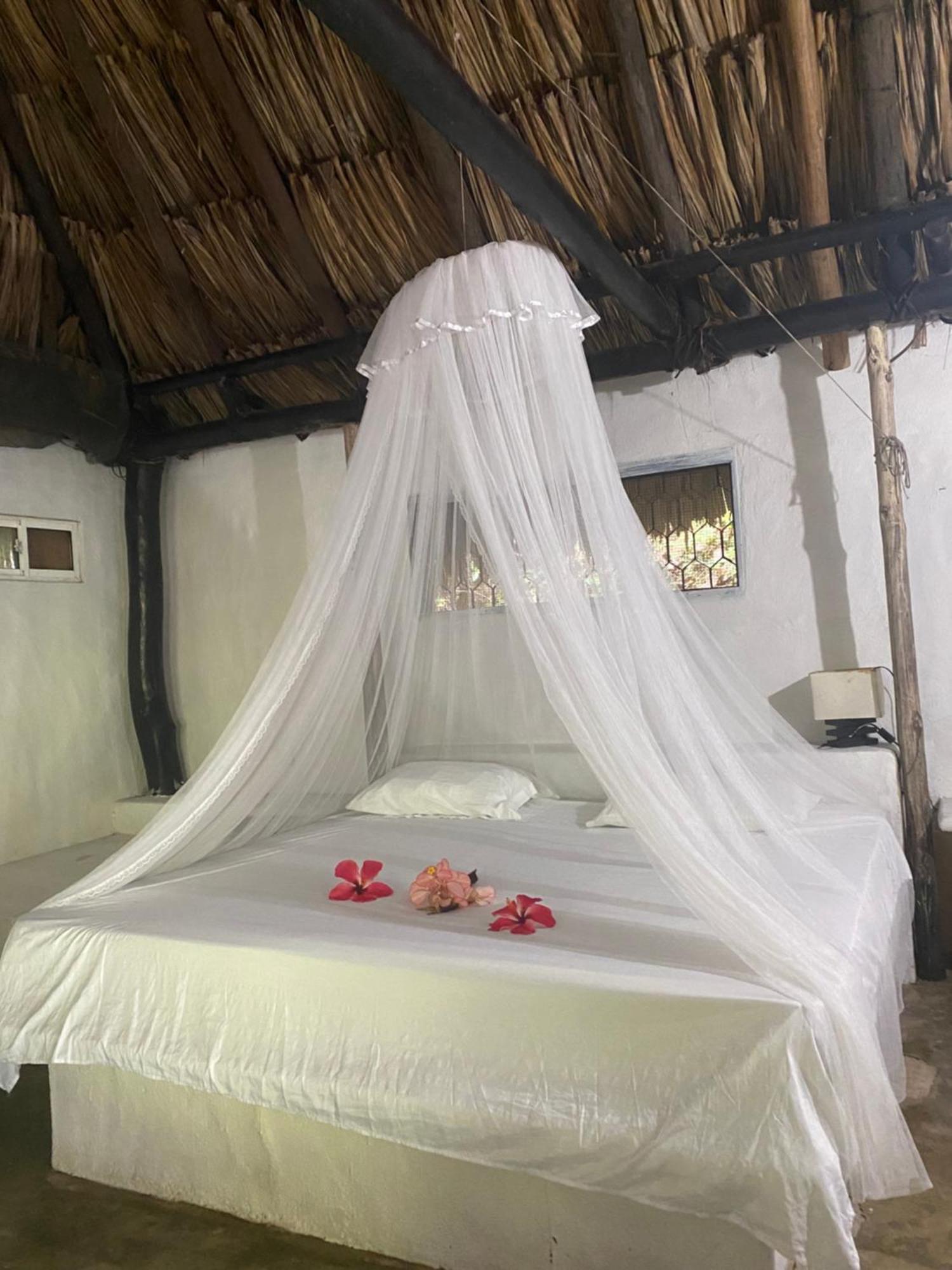 Taironaka Eco Hotel Don Diego Екстер'єр фото